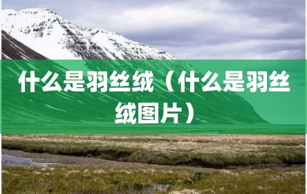 什么是羽丝绒（什么是羽丝绒图片）