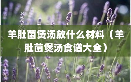 羊肚菌煲汤放什么材料（羊肚菌煲汤食谱大全）