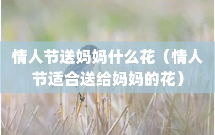情人节送妈妈什么花（情人节适合送给妈妈的花）