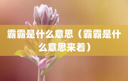 霸霸是什么意思（霸霸是什么意思来着）