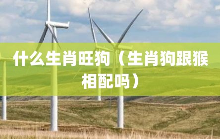 什么生肖旺狗（生肖狗跟猴相配吗）