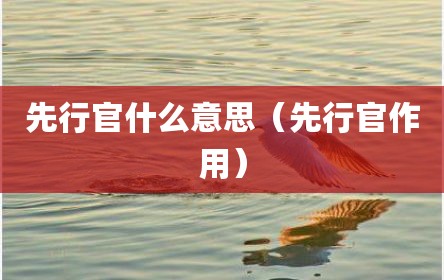 先行官什么意思（先行官作用）