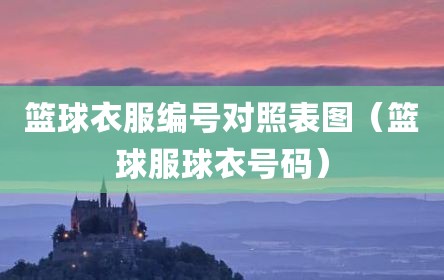 篮球衣服编号对照表图（篮球服球衣号码）