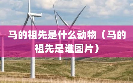 马的祖先是什么动物（马的祖先是谁图片）