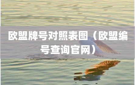 欧盟牌号对照表图（欧盟编号查询官网）