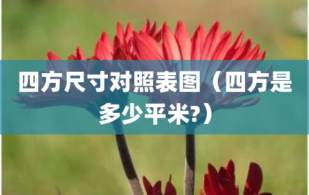 四方尺寸对照表图（四方是多少平米?）