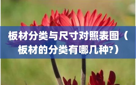 板材分类与尺寸对照表图（板材的分类有哪几种?）