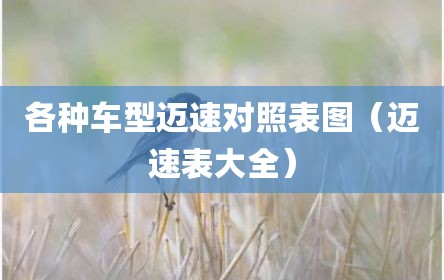 各种车型迈速对照表图（迈速表大全）