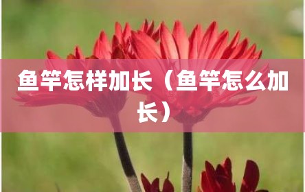 鱼竿怎样加长（鱼竿怎么加长）