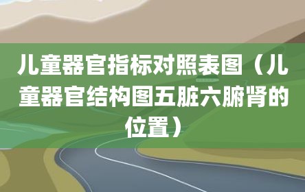 儿童器官指标对照表图（儿童器官结构图五脏六腑肾的位置）