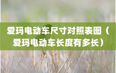 爱玛电动车尺寸对照表图（爱玛电动车长度有多长）