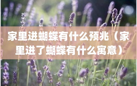 家里进蝴蝶有什么预兆（家里进了蝴蝶有什么寓意）