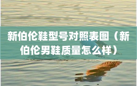 新伯伦鞋型号对照表图（新伯伦男鞋质量怎么样）