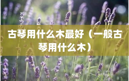 古琴用什么木最好（一般古琴用什么木）