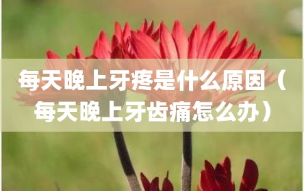每天晚上牙疼是什么原因（每天晚上牙齿痛怎么办）