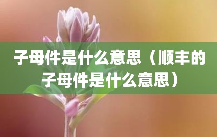 子母件是什么意思（顺丰的子母件是什么意思）