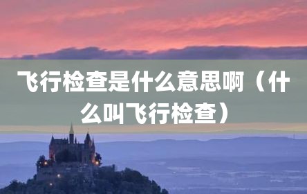 飞行检查是什么意思啊（什么叫飞行检查）