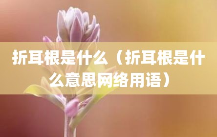 折耳根是什么（折耳根是什么意思网络用语）