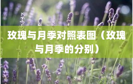 玫瑰与月季对照表图（玫瑰与月季的分别）