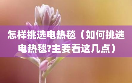 怎样挑选电热毯（如何挑选电热毯?主要看这几点）