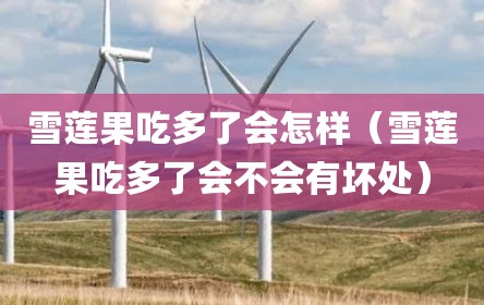 雪莲果吃多了会怎样（雪莲果吃多了会不会有坏处）