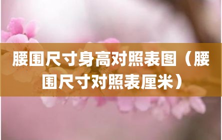 腰围尺寸身高对照表图（腰围尺寸对照表厘米）