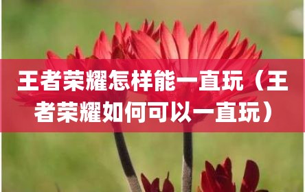 王者荣耀怎样能一直玩（王者荣耀如何可以一直玩）