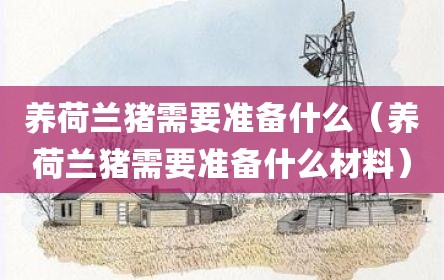 养荷兰猪需要准备什么（养荷兰猪需要准备什么材料）