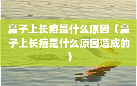 鼻子上长痘是什么原因（鼻子上长痘是什么原因造成的）