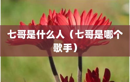 七哥是什么人（七哥是哪个歌手）