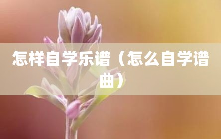 怎样自学乐谱（怎么自学谱曲）