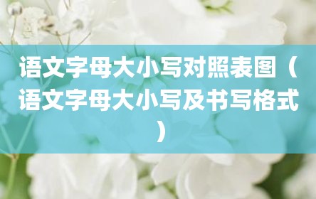 语文字母大小写对照表图（语文字母大小写及书写格式）