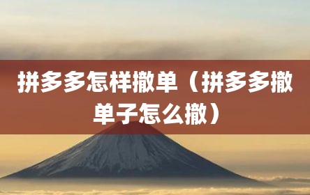 拼多多怎样撤单（拼多多撤单子怎么撤）