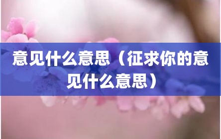 意见什么意思（征求你的意见什么意思）