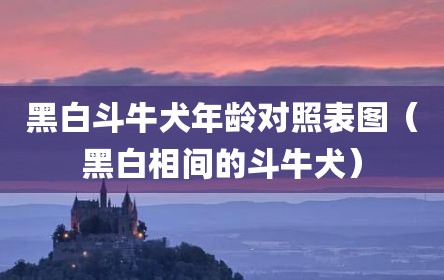 黑白斗牛犬年龄对照表图（黑白相间的斗牛犬）