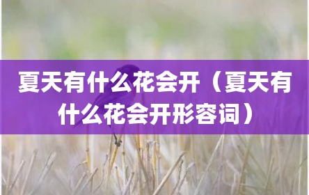 夏天有什么花会开（夏天有什么花会开形容词）