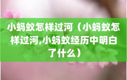 小蚂蚁怎样过河（小蚂蚁怎样过河,小蚂蚁经历中明白了什么）