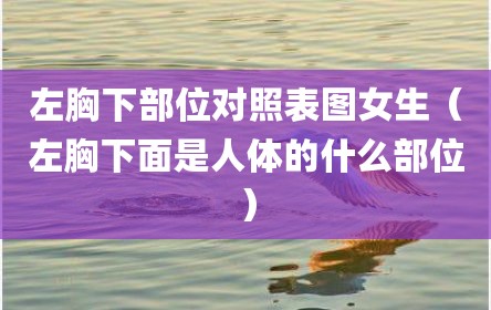 左胸下部位对照表图女生（左胸下面是人体的什么部位）
