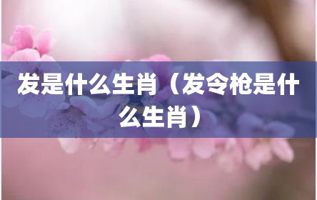 发是什么生肖（发令枪是什么生肖）
