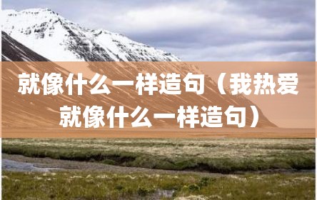 就像什么一样造句（我热爱就像什么一样造句）
