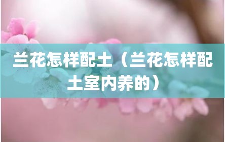 兰花怎样配土（兰花怎样配土室内养的）