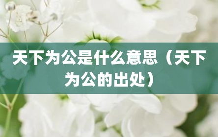 天下为公是什么意思（天下为公的出处）
