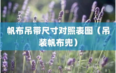 帆布吊带尺寸对照表图（吊装帆布兜）