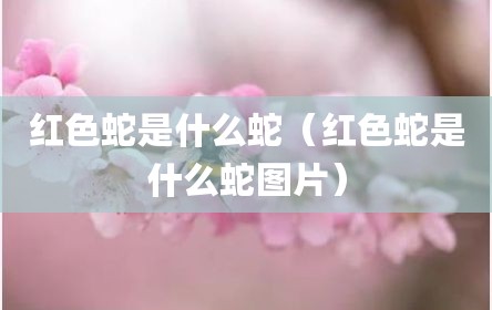 红色蛇是什么蛇（红色蛇是什么蛇图片）