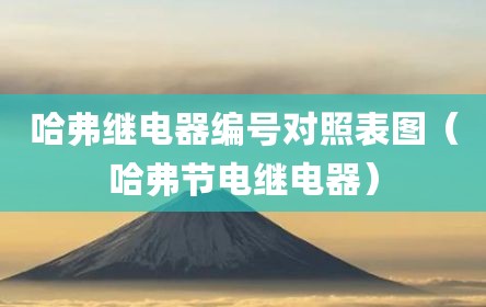 哈弗继电器编号对照表图（哈弗节电继电器）