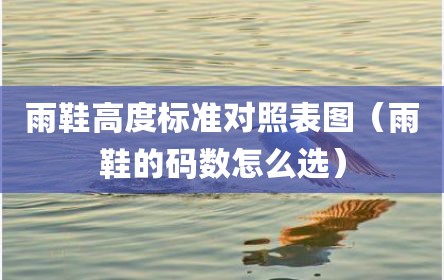 雨鞋高度标准对照表图（雨鞋的码数怎么选）