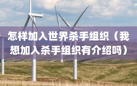 怎样加入世界杀手组织（我想加入杀手组织有介绍吗）