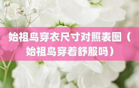 始祖鸟穿衣尺寸对照表图（始祖鸟穿着舒服吗）