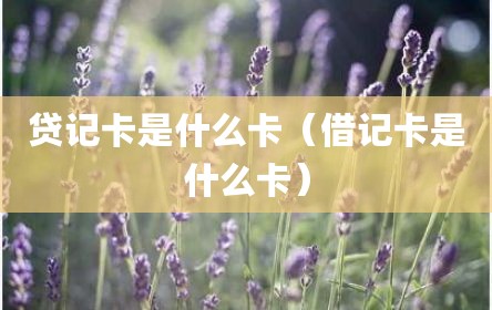 贷记卡是什么卡（借记卡是什么卡）