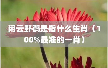 闲云野鹤是指什么生肖（100%最准的一肖）